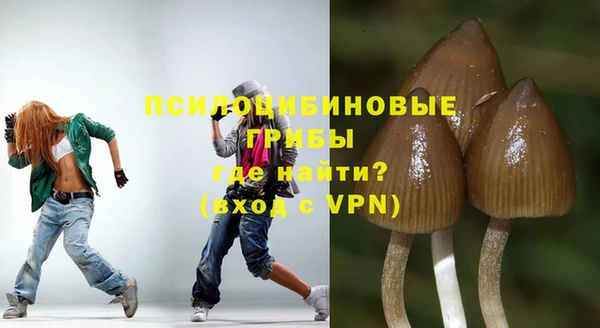 mdpv Володарск